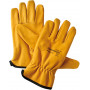 Gants de sécurité DRIVER WINTER / 10